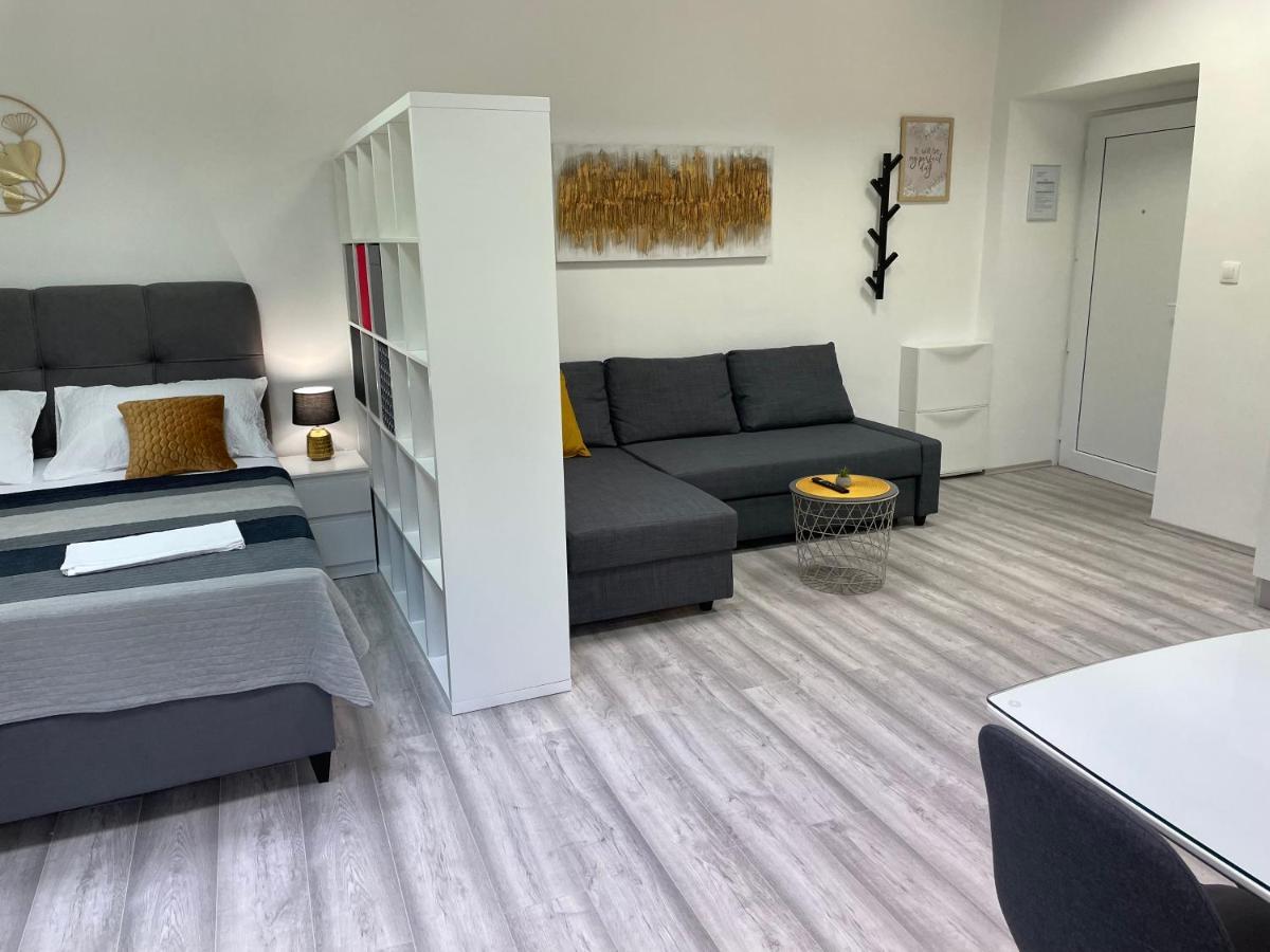 Apartment Studio Beauty In Centar Póla Kültér fotó
